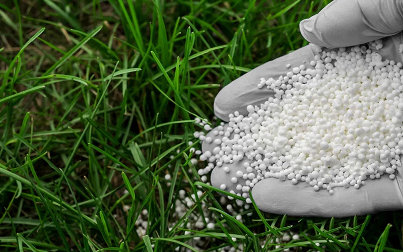 زمان مصرف کود سفید برای برنج